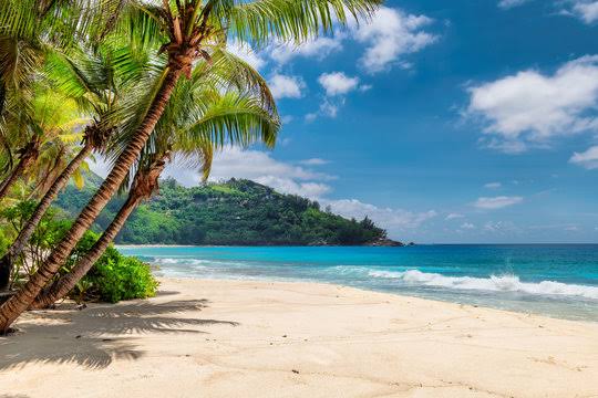Hawaii vacation view